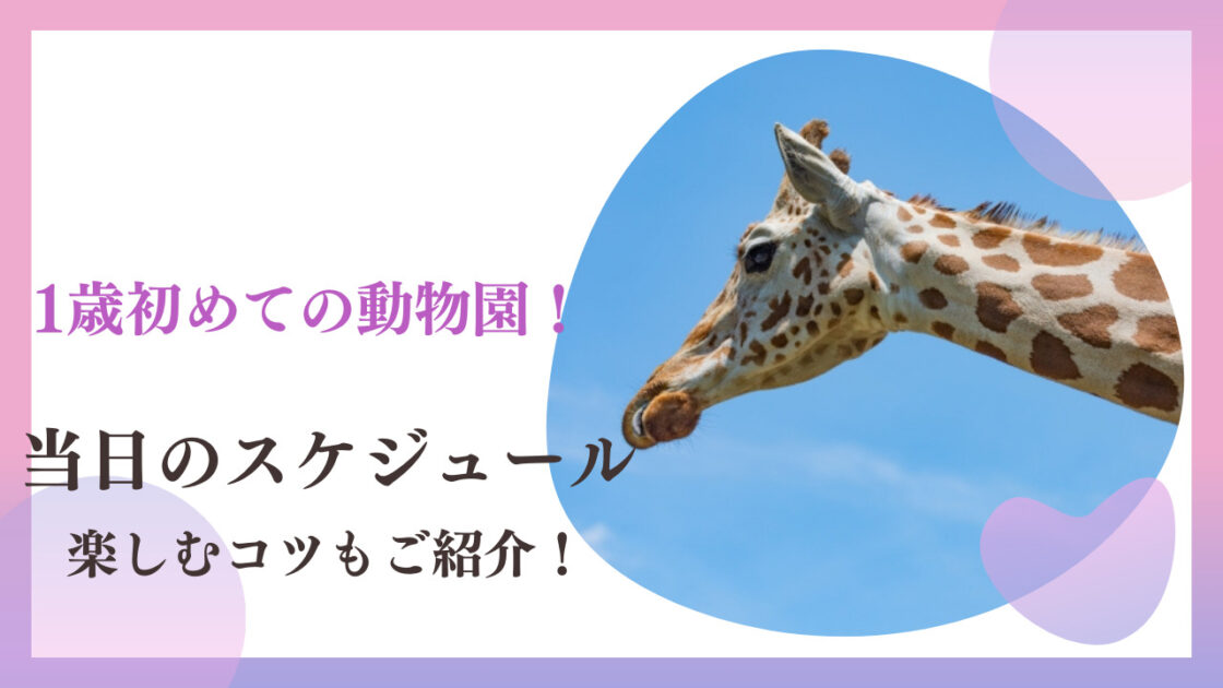 1歳動物園の当日のスケジュール